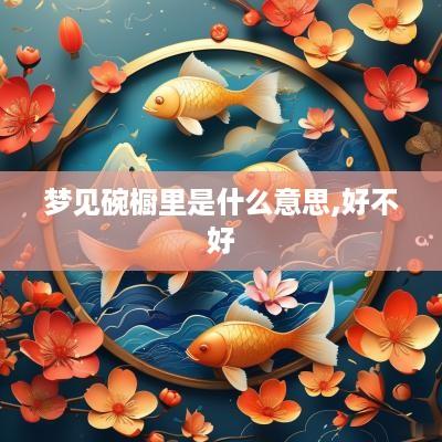 梦见碗橱里是什么意思,好不好