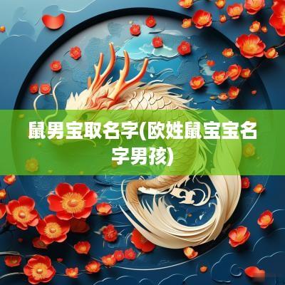 鼠男宝取名字(欧姓鼠宝宝名字男孩)