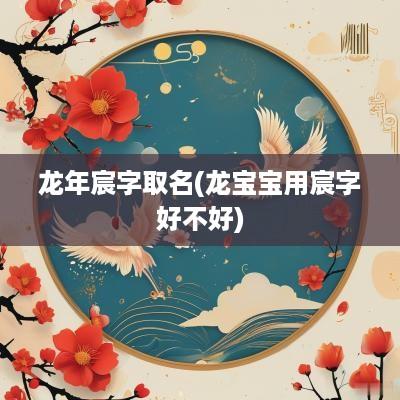 蛇年宸字取名(龙宝宝用宸字好不好)