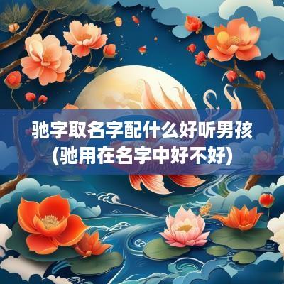 驰字取名字配什么好听男孩(驰用在名字中好不好)
