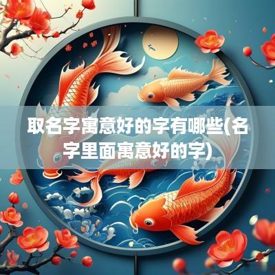 取名字寓意好的字有哪些(名字里面寓意好的字)