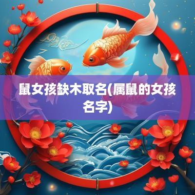 鼠女孩缺木取名(属鼠的女孩名字) 鼠女孩缺木取名(属鼠的女孩名字)