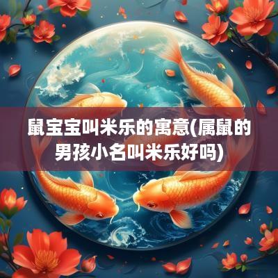 鼠宝宝叫米乐的寓意(属鼠的男孩小名叫米乐好吗)