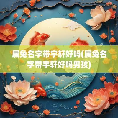 属兔名字带宇轩好吗(属兔名字带宇轩好吗男孩)