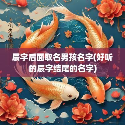辰字后面取名男孩名字(好听的辰字结尾的名字)
