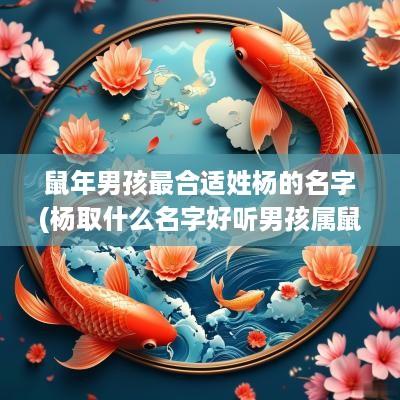 蛇年男孩最合适姓杨的名字(杨取什么名字好听男孩属鼠的)