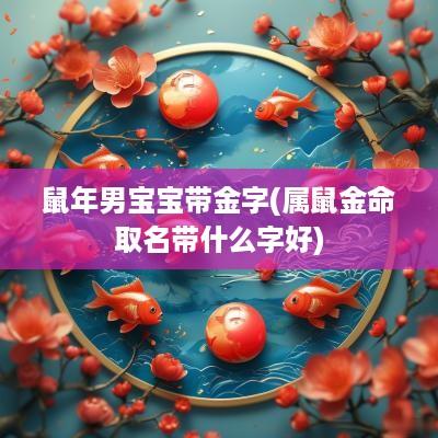 蛇年男宝宝带金字(属鼠金命取名带什么字好)