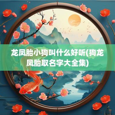龙凤胎小狗叫什么好听(狗龙凤胎取名字大全集)