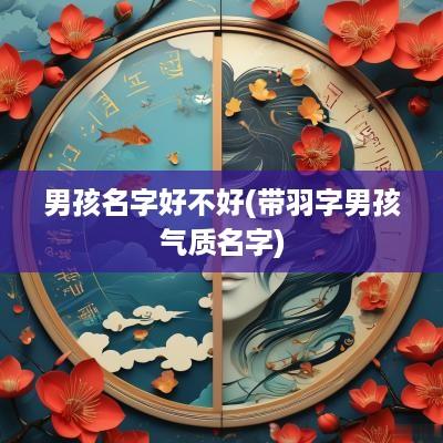男孩名字好不好(带羽字男孩气质名字)