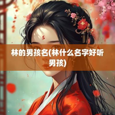 林的男孩名(林什么名字好听男孩)