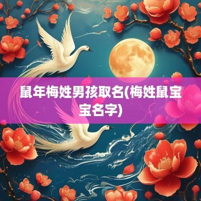 蛇年梅姓男孩取名(梅姓鼠宝宝名字)