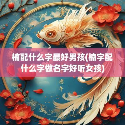 楠配什么字最好男孩(楠字配什么字做名字好听女孩)