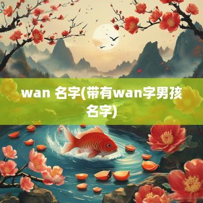 wan 名字(带有wan字男孩名字)