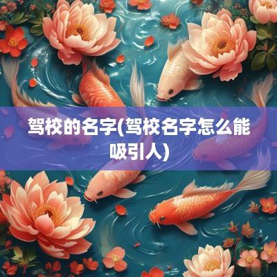 驾校的名字(驾校名字怎么能吸引人)