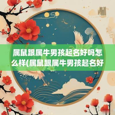 属鼠跟属牛男孩起名好吗怎么样(属鼠跟属牛男孩起名好吗)