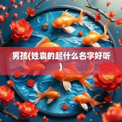 男孩(姓袁的起什么名字好听)