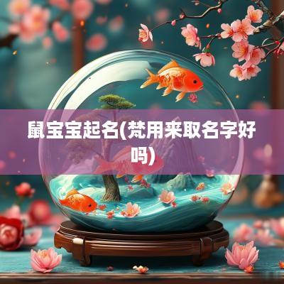 鼠宝宝起名(梵用来取名字好吗)