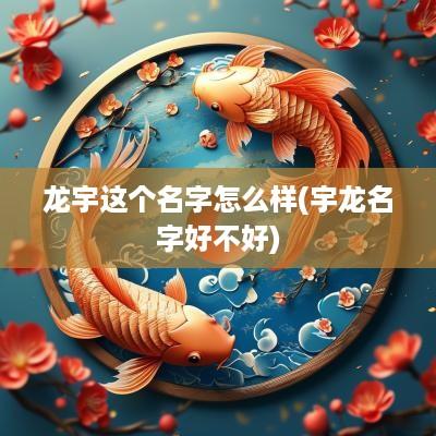 龙宇这个名字怎么样(宇龙名字好不好)