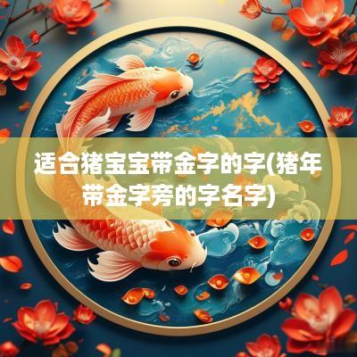 适合猪宝宝带金字的字(猪年带金字旁的字名字)