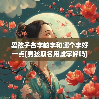 男孩子名字峻字和哪个字好一点(男孩取名用峻字好吗)