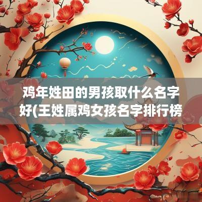鸡年姓田的男孩取什么名字好(王姓属鸡女孩名字排行榜)