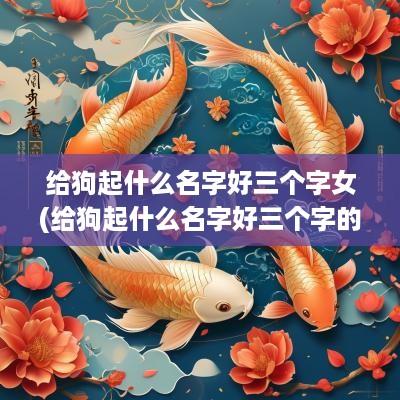 给狗起什么名字好三个字女(给狗起什么名字好三个字的)