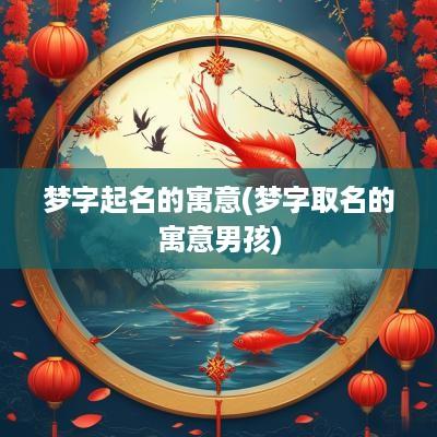 梦字起名的寓意(梦字取名的寓意男孩)