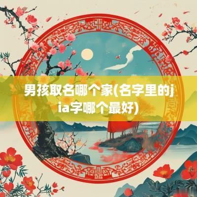 男孩取名哪个家(名字里的jia字哪个最好)