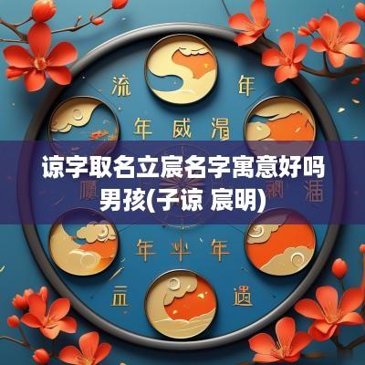 谅字取名立宸名字寓意好吗男孩(子谅 宸明)