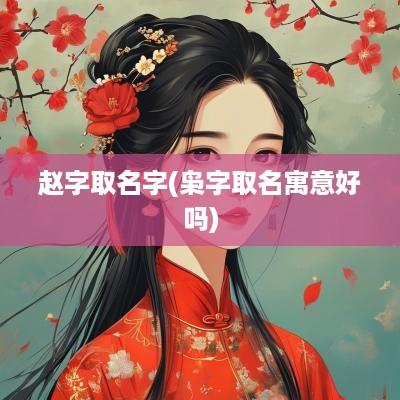 赵字取名字(枭字取名寓意好吗)