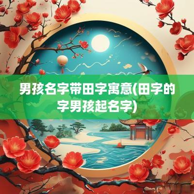 男孩名字带田字寓意(田字的字男孩起名字)