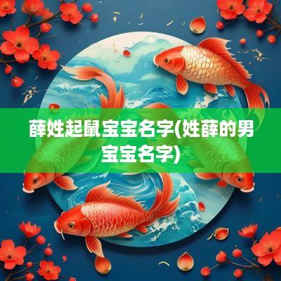 薛姓起鼠宝宝名字(姓薛的男宝宝名字)