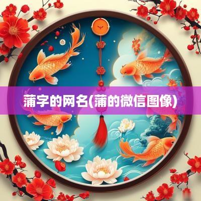 蒲字的网名(蒲的微信图像)