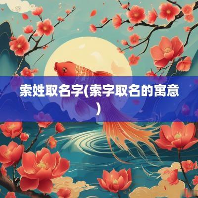 索姓取名字(索字取名的寓意)
