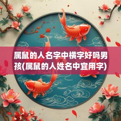 属鼠的人名字中横字好吗男孩(属鼠的人姓名中宜用字)