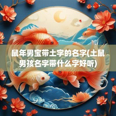 蛇年男宝带土字的名字(土鼠男孩名字带什么字好听)