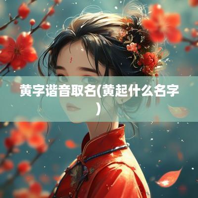 黄字谐音取名(黄起什么名字)
