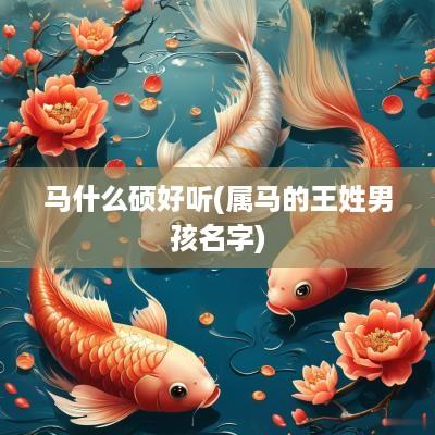 马什么硕好听(属马的王姓男孩名字)