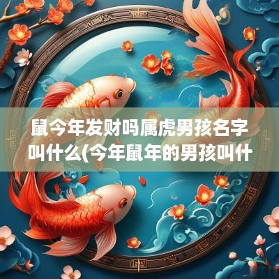 鼠今年发财吗属虎男孩名字叫什么(今年蛇年的男孩叫什么名好)