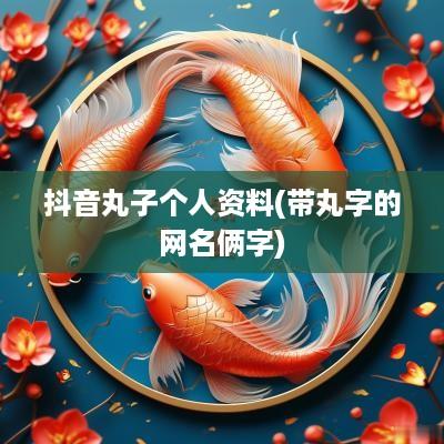 抖音丸子个人资料(带丸字的网名俩字)