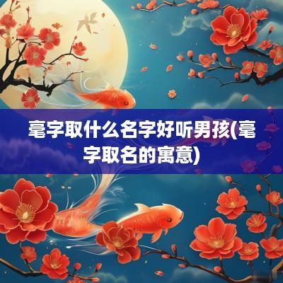 毫字取什么名字好听男孩(毫字取名的寓意)