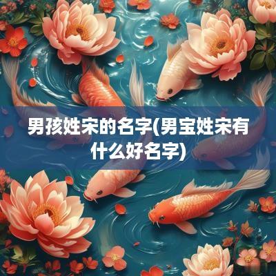 男孩姓宋的名字(男宝姓宋有什么好名字)