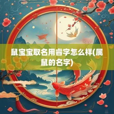 鼠宝宝取名用睿字怎么样(属鼠的名字)