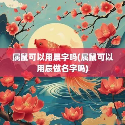属鼠可以用晨字吗(属鼠可以用辰做名字吗)