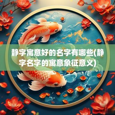 静字寓意好的名字有哪些(静字名字的寓意象征意义)