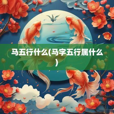 马五行什么(马字五行属什么)