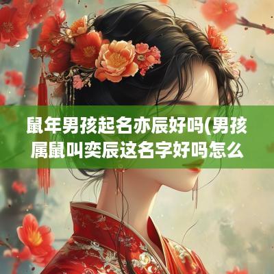 蛇年男孩起名亦辰好吗(男孩属鼠叫奕辰这名字好吗怎么读)