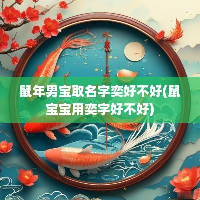 蛇年男宝取名字奕好不好(鼠宝宝用奕字好不好)