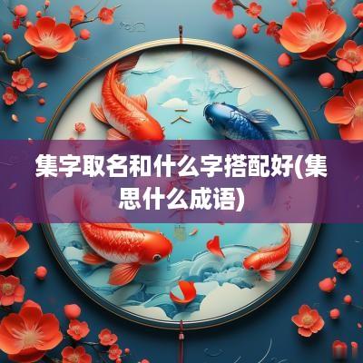 集字取名和什么字搭配好(集思什么成语)