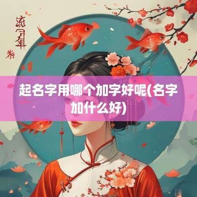 起名字用哪个加字好呢(名字加什么好)